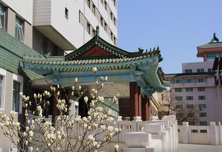 国际医疗部欢迎您