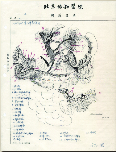 from clipboard