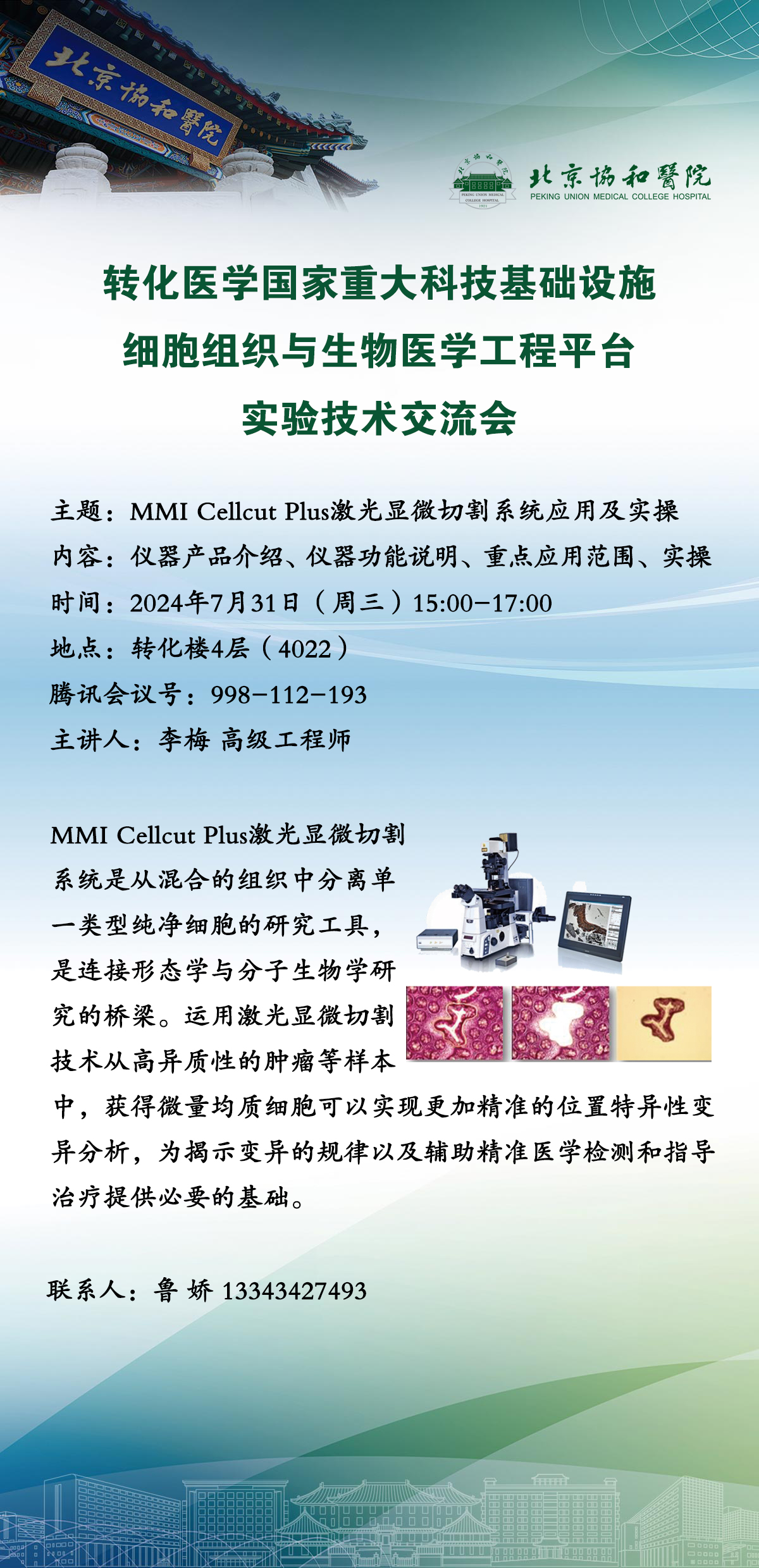 from clipboard