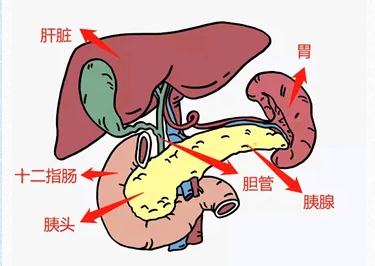 from clipboard from clipboard