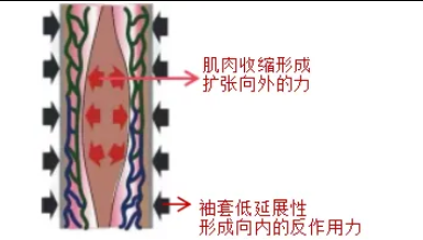 from clipboard from clipboard