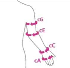 from clipboard from clipboard